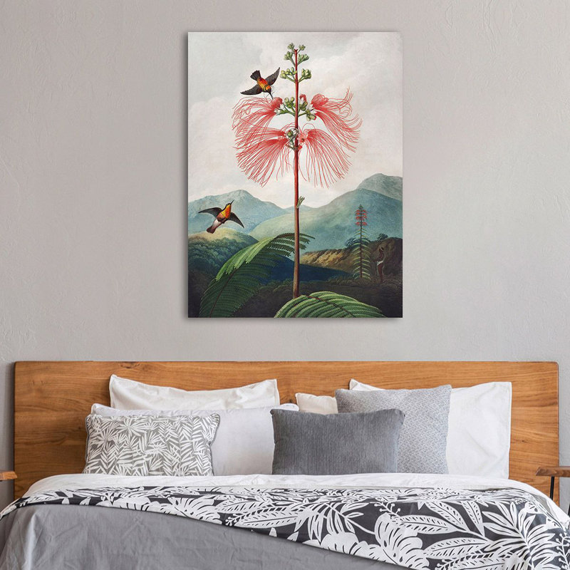 Sensitive Plant From The Temple Of Flora - Wrapped Canvas Art Prints, 100cm H x 70cm W x 4cm D