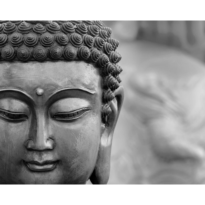 Ensemble de panneaux muraux 6 pièces 8 pi x 118 po bouddha Karolina