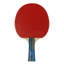 Raquette de 1000 Timo Boll