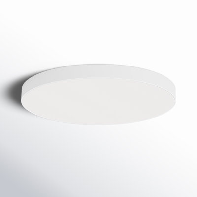 Randall Single Light Acrylic LED Flush Mount