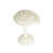 Ivory is out of stock