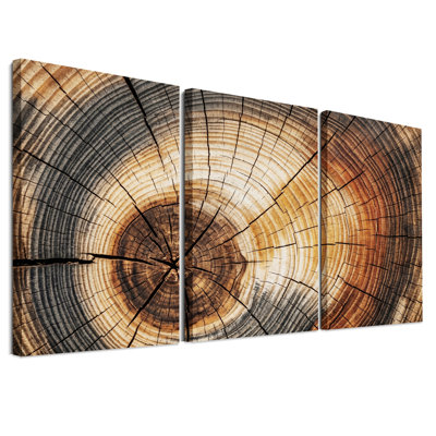 Ensemble de 3 tableaux sur toile représentant des anneaux de croissance de souches d'arbres brunes et craquelées