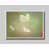 Framed Print without Mat is unavailable