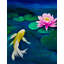 Peinture murale Koi Fish Water Lily-1348477269