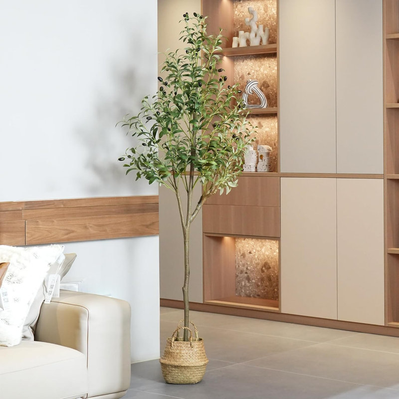 72 plantes