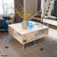 Table basse avec rangement Aidtya-1796807521
