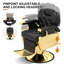 Fauteuil de coiffeur à poils longs avec pompe hydraulique pivotante 360 degrés Inbox