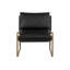 Lounge Chair-1672010285