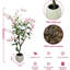 47.24cm Plant