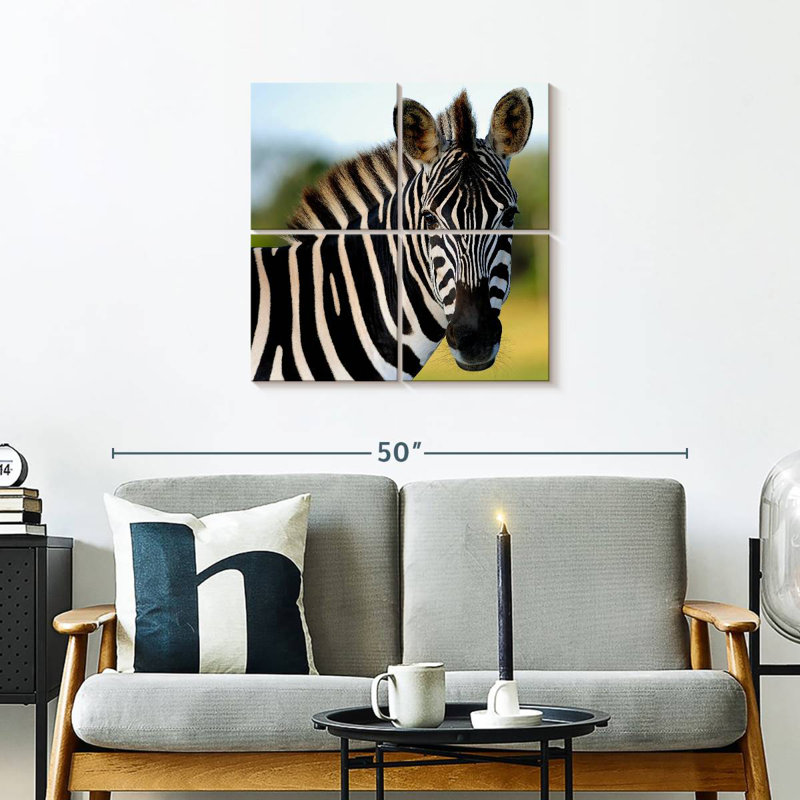 Brampt Staring Zebra, 26" H x 26" W