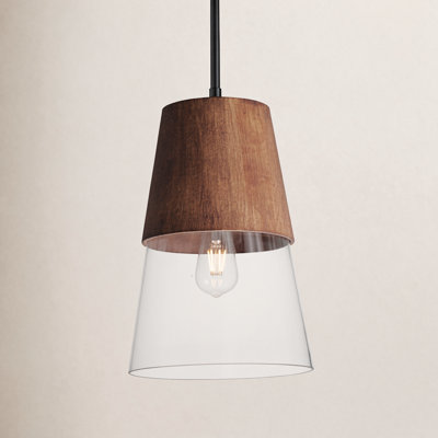 Remora Single Light Steel Dimmable Pendant