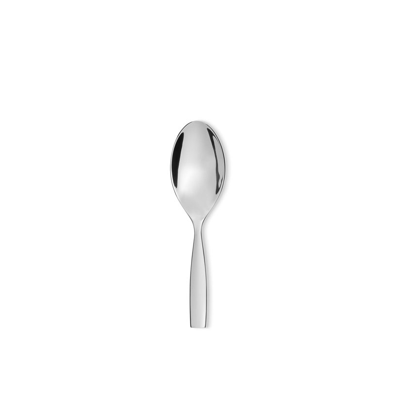 Dressed 1 Piece Stainless Steel (18/10) Wood Stainless Steel Serving Spoon