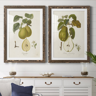 Cadre rétro de qualité supérieure Vintage Pears III prêt à accrocher