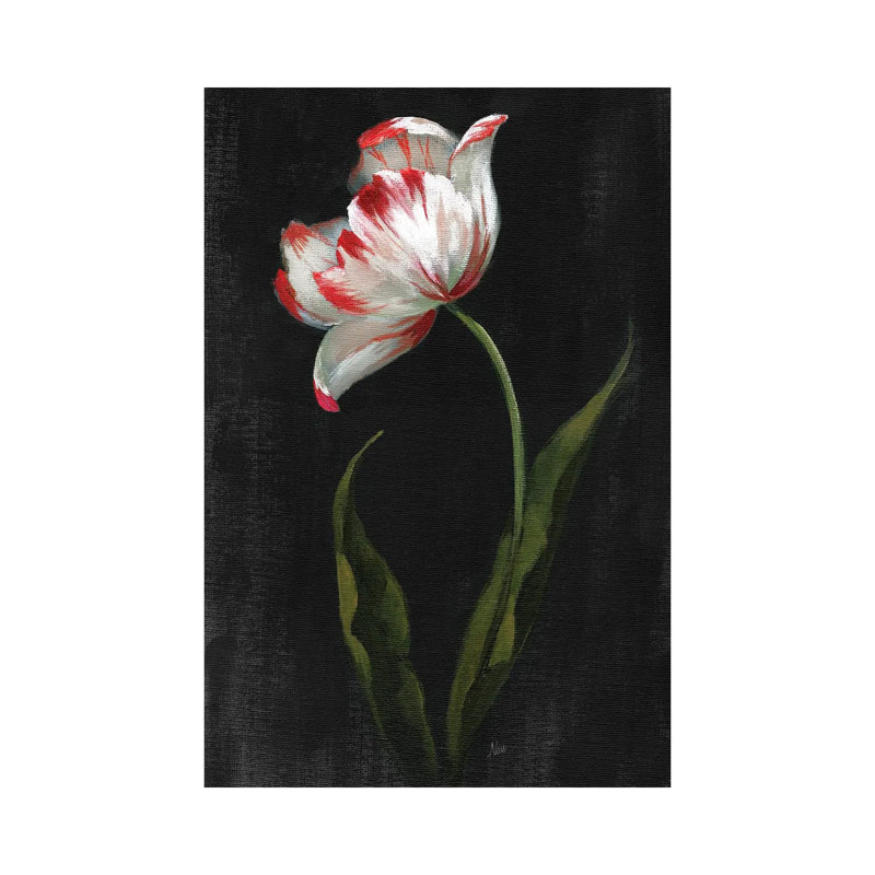 Master Botanical II By Nan - Wrapped Canvas Graphic Art by Nan - Wrapped Canvas Gallery-Wrapped Canvas Giclée