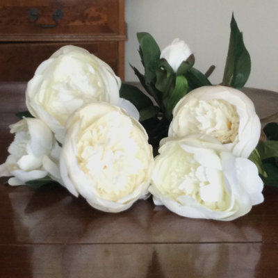 Frilled Peony