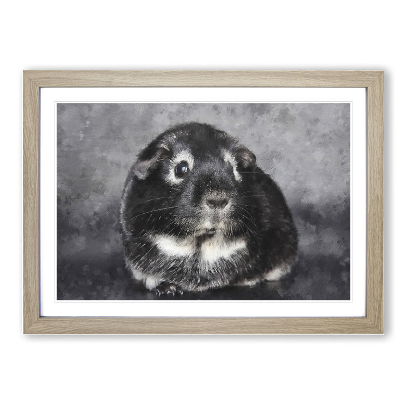 Guinea Pig - Framed Print, 27cm H x 36cm W x 2cm D, Oak Framed