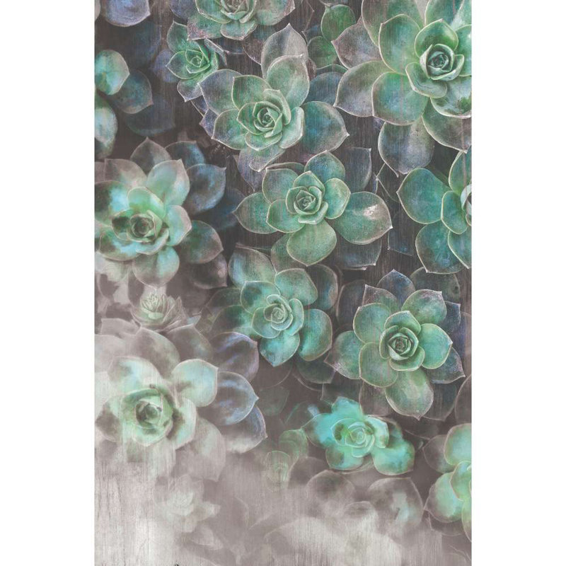Succulents 3 - Wrapped Canvas Print, 76cm H x 51cm W x 3.8cm D