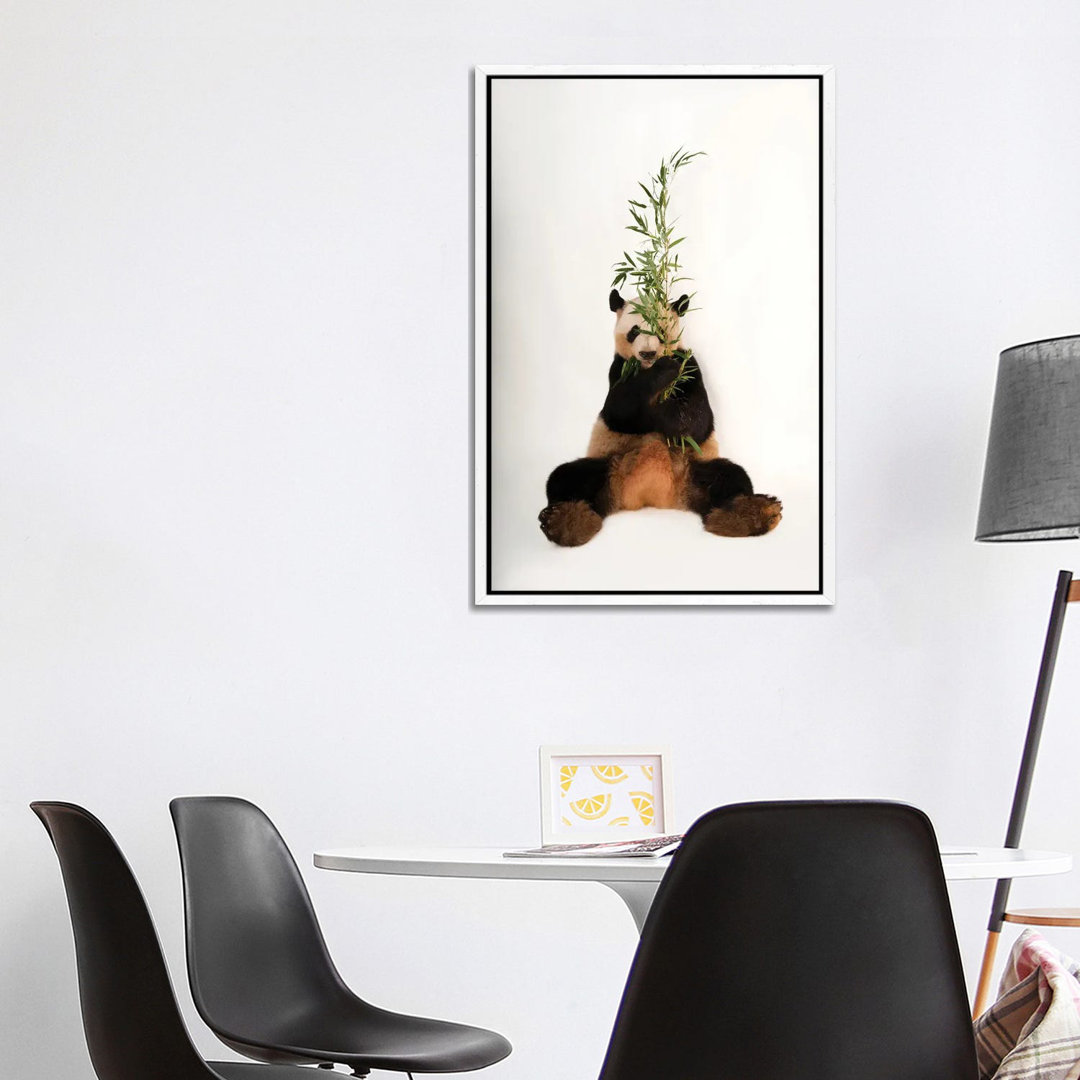 A Giant Panda At Zoo Atlanta I von Joel Sartore - Gallery-Wrapped Canvas Giclée on Canvas