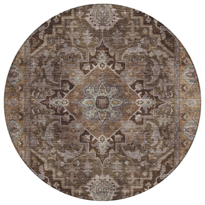 Machine Washable Indoor/Outdoor Arline ACN2165 Global Rug