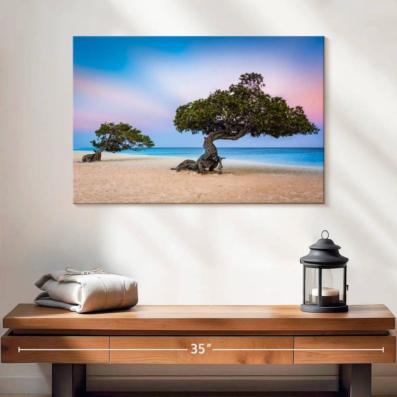Harnek Divi Divi Trees, H 16 po x l 24 po