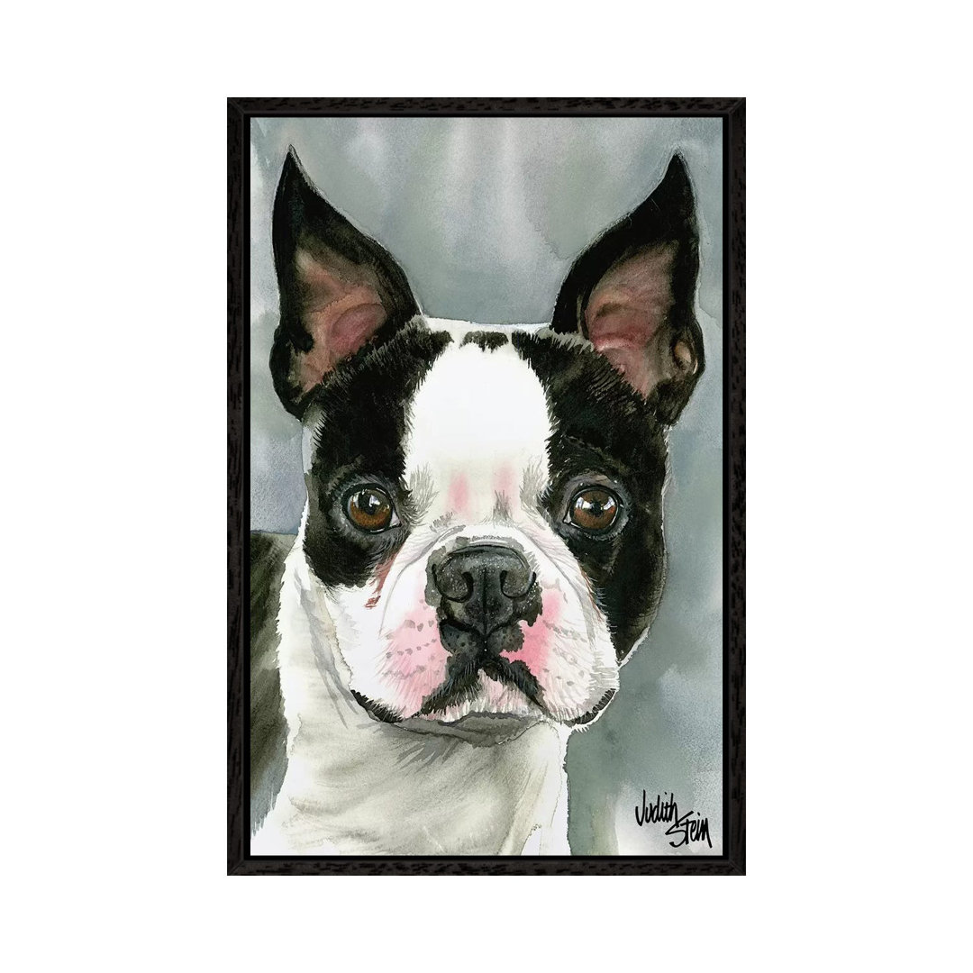 American Gentleman - Boston Terrier by Judith Stein - Painting on Canvas