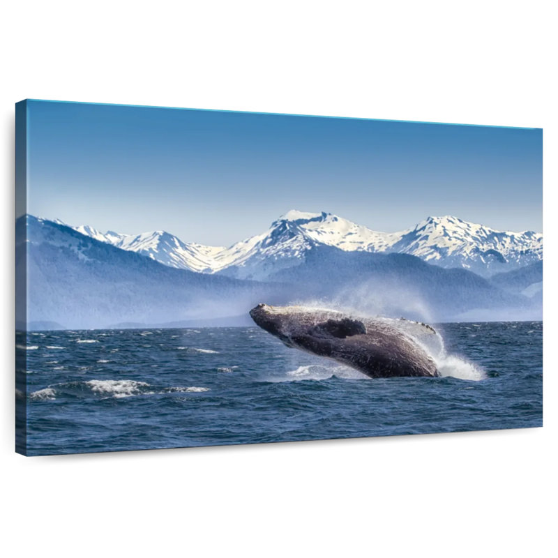 Brampt Humpback Whale Backflip, 32" H x 48" W