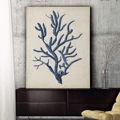 " Coral IV "