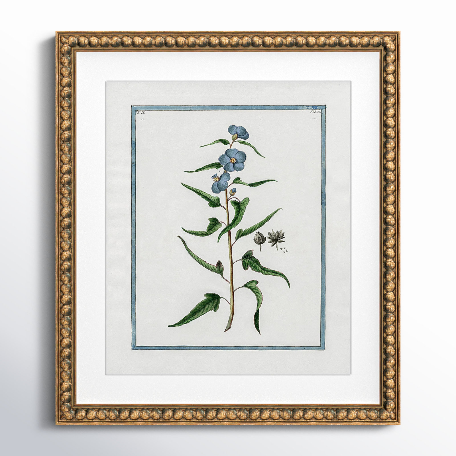 Colombe "Shabby Elegance Botanical I" Print, Gold Bead Framed, 17" W x 20" H