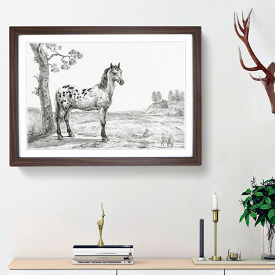 Mottled Horse by Jean Bernard - Picture Frame Drawing Print