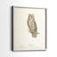 Scops Eared Owl - reproduction encadrée de qualité supérieure - prête à être accrochée - aucun clou requis - aucun clou requis-191032653-191032694