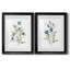 Linen Botanical III - ensemble de 2 reproductions d'art-44249110-44249108-114830212
