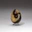 Polished Septarian Egg from Madagascar (0.1984 lbs)
