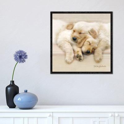 Nap Friends 1 Piece Wall Art on Canvas