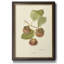 Persimmon II - cadre photo, impression sur toile-775207910