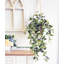 Buisson suspendu juif-8577764