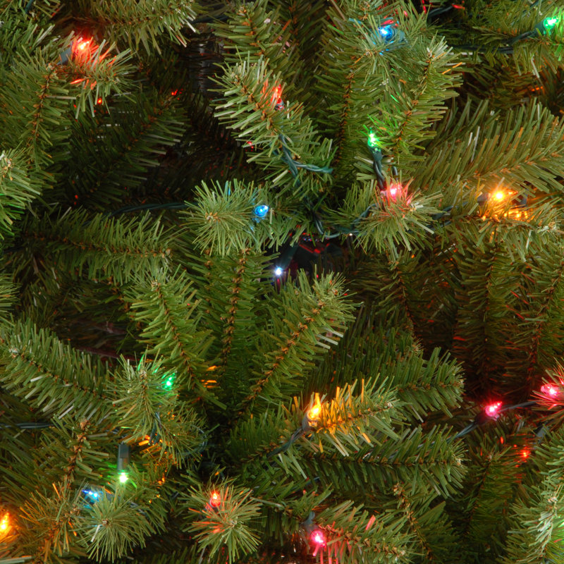 North Valley Spruce Tree with Multicolor Lights, 4.5'