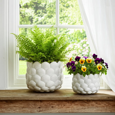 Seashell Planters, White, 2-Pieces