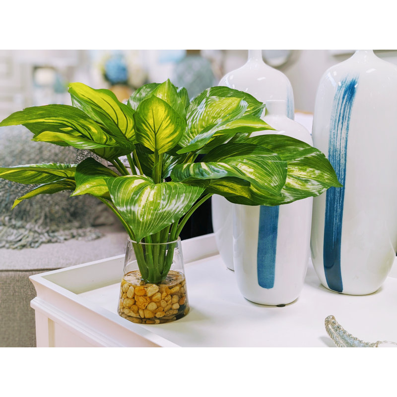 Faux Hosta Plant in Glass Vase