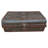Agnant Handmade Decorative Trunk