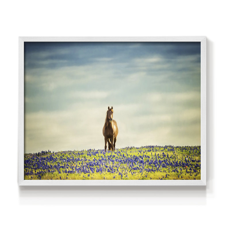 Sunlit Midwest II -Framed Print - Restickable, 8" H x 10" W, White