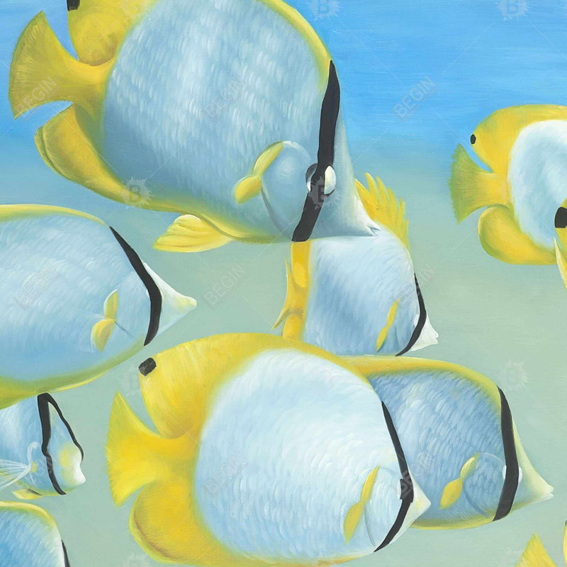 «Butterfly Fishes»