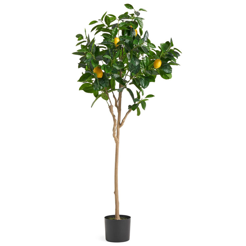Annistyn 150cm Faux Lemon Tree in Pot