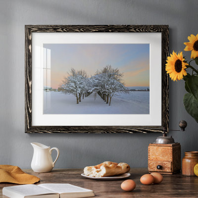 " Among The Trees "