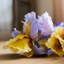 Artificial Iris Flower Stem-1040976369-1040976364