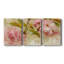 " Blossom Elegance II " 3 - Pieces-517217427