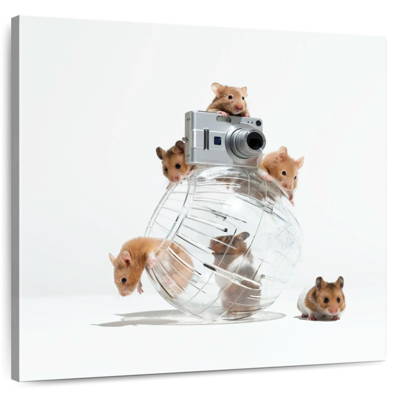 Arney Picture Perfect Hamsters, 33" H x 33" W