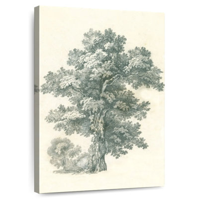 Tree Study I