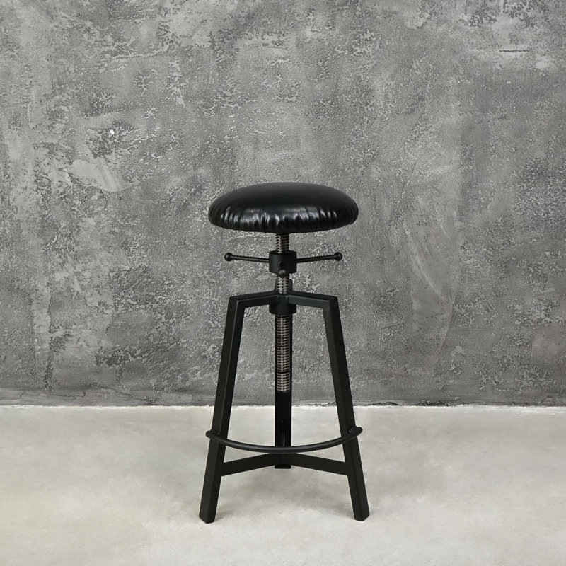 Aahyan Swivel Adjustable Height Counter Stool with Metal Frame, Black