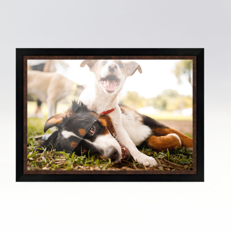 Solid Wood Picture Frame, Brown, 16" W x 18" H