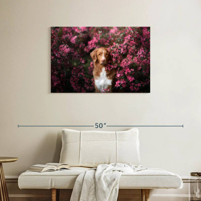 Toller dans le jardin, H 24 po x l 36 po
